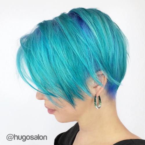 Turquoise Pixie Bob With Blue Roots