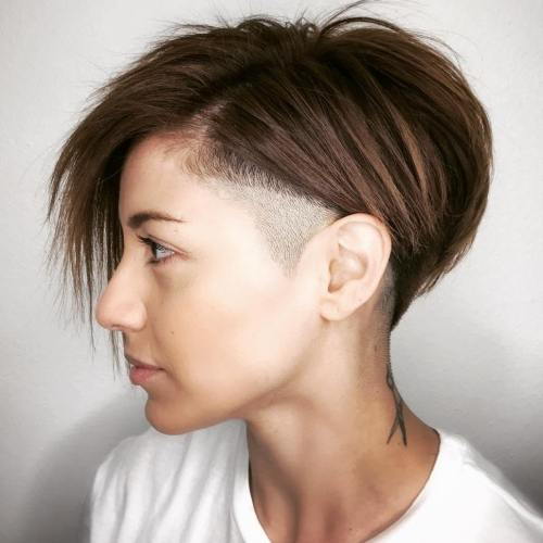 Pixie Bob With A Shaved Temple