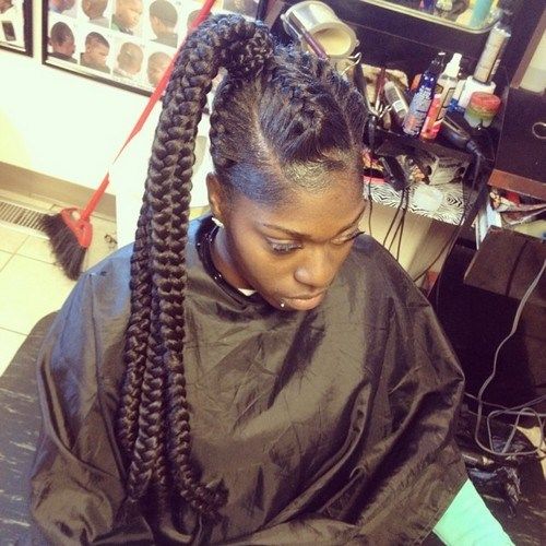 suplimentar long black braided ponytail