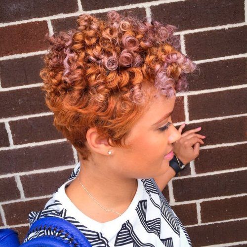 africký American Curly Copper Pixie