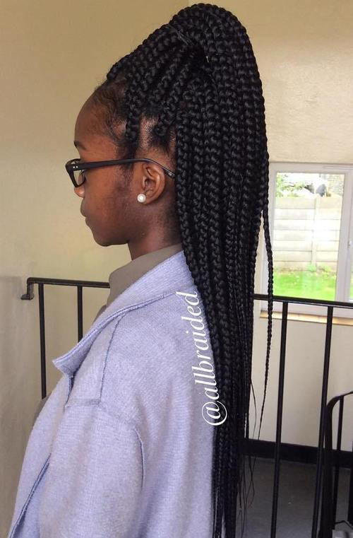 hög half up ponytail for big box braids
