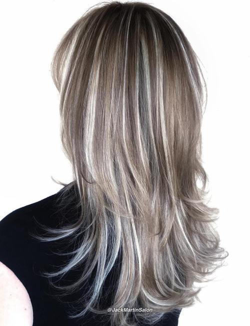 Brun Hair With Silver Highlights