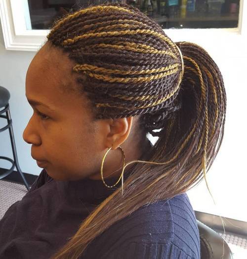 Brun Micro Twists In A Ponytail