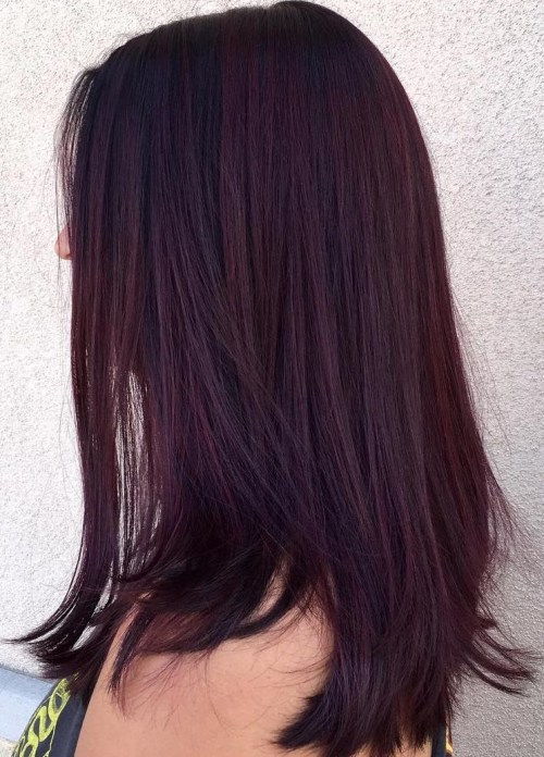Mörk Burgundy And Violet Hair