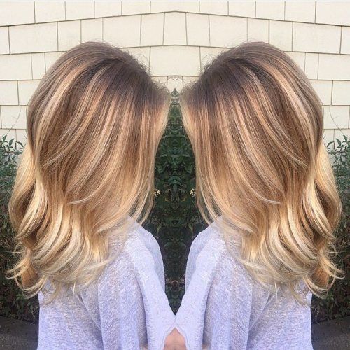 svetloba brown hair with blonde highlights
