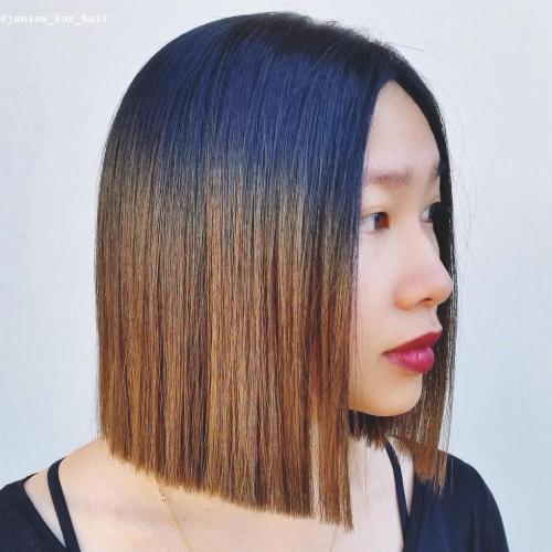 Negru To Brown Ombre For Blunt Bob