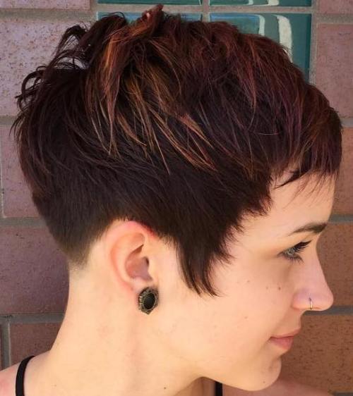 Brun Pixie With Highlights