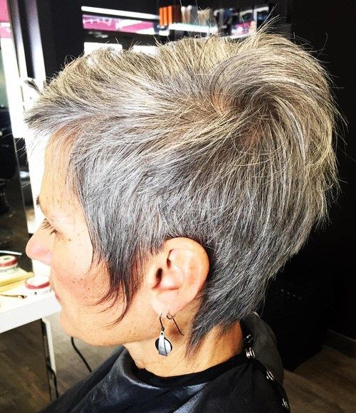 hnedý And Gray Short Hairstyle