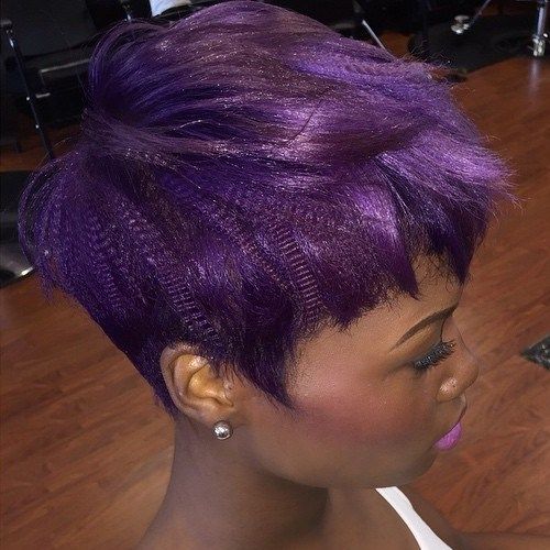 Afriška American Purple Pixie