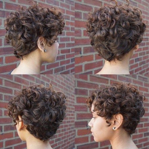 rjav Curly Pixie Hairstyle