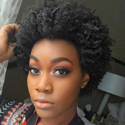 Naturlig Afro Hairstyle For Women