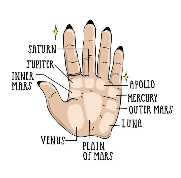 Illustration of palmistry hand mounds