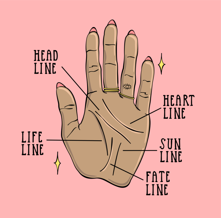 Illustration of head, life, heart, sun, and fate palm lines