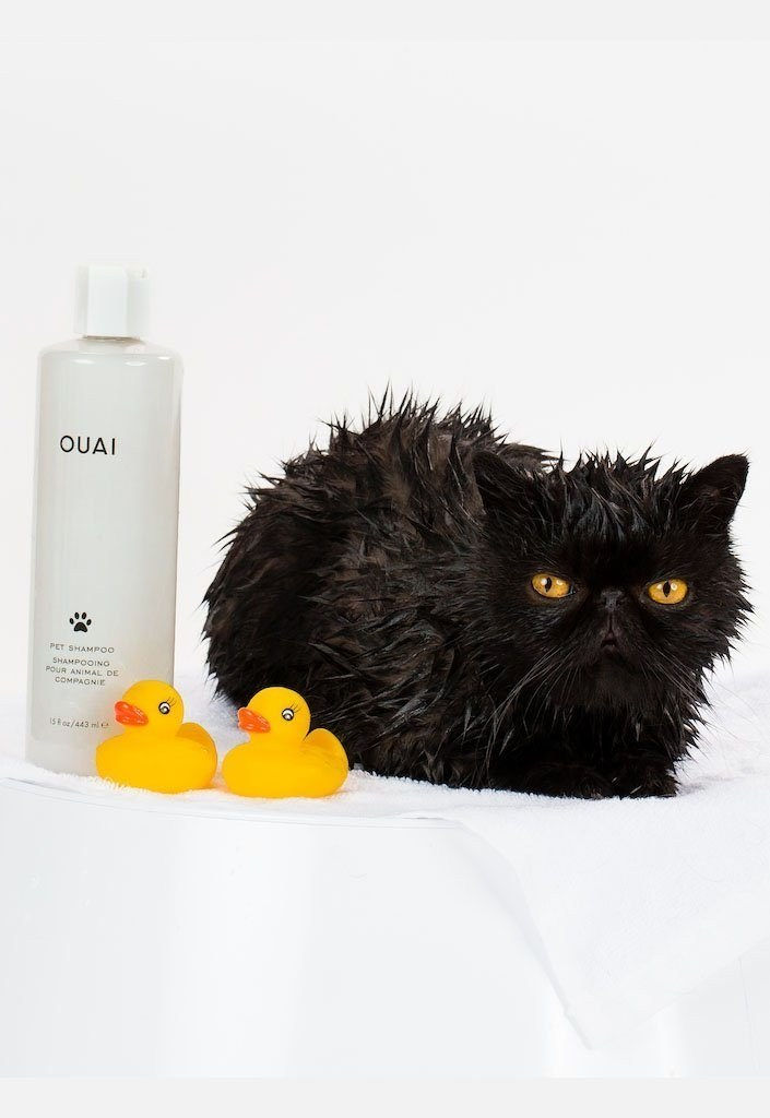 Оуаи Pet Shampoo