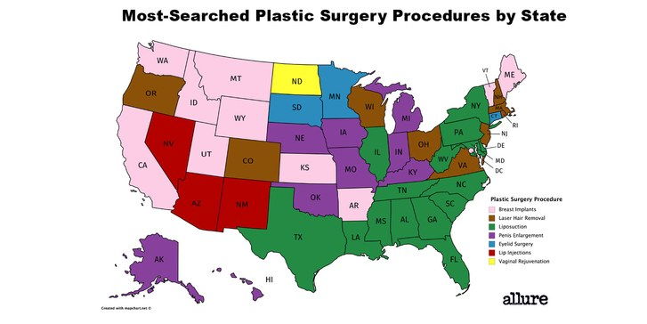 plastický surgery by state