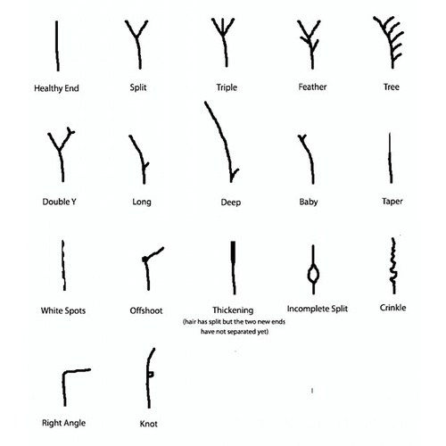 diferit types of split ends