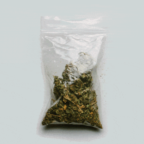 Марихуана gif with bag and papers.